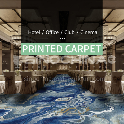 מלון קולנוע / משרד / מועדון פרוייקט סדרת שטיחים מודפסים 2